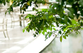 緑と水のあるテラス