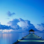 テスト投稿です