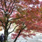 香嵐渓の紅葉