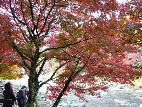 香嵐渓の紅葉