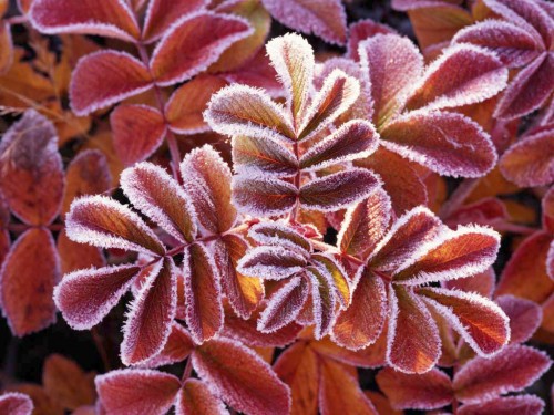 テスト投稿です