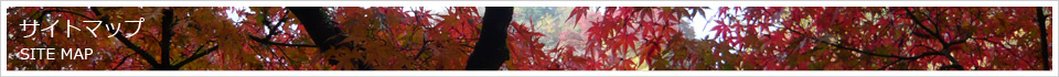 サイトマップ